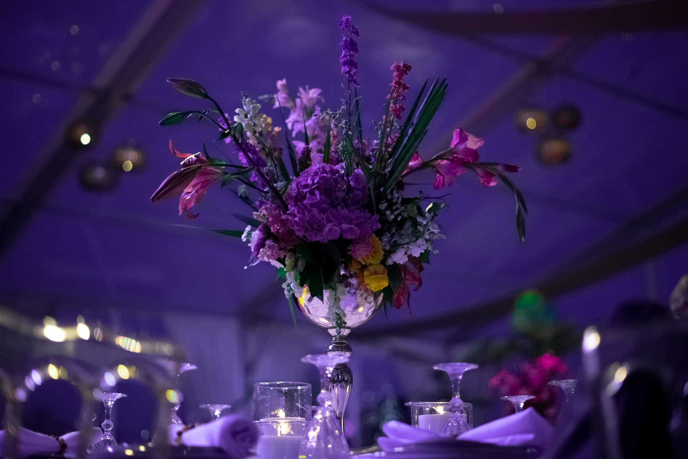 Luxury Event Gallery Image 6 - Opulent Decor and Events